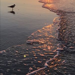 Meet your Posher, Colleen